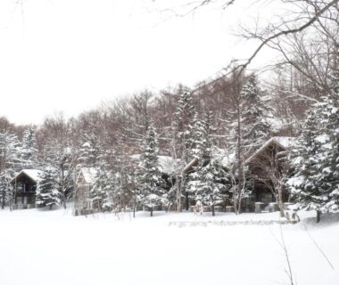 Wooden cabins and snow-covered trees on Hotel Nidom grounds in Hokkaidō