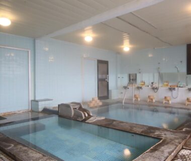 Tiled indoor bathing area with two pools and wall-mounted shower stations at Hotel Omodaka, Nagano