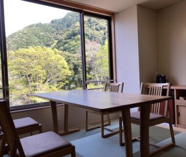 Sunlit tatami room with table, chairs and large window overlooking wooded mountains at Hotel Park in Gifu