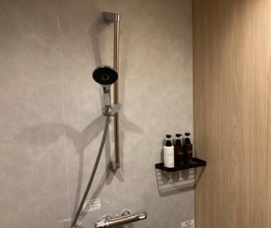 Handheld shower with wall-mounted toiletries and wooden paneling at Hotel Park bathroom, Gifu, Chūbu, Japan