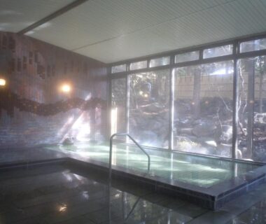 Indoor onsen bath with handrail and large windows at Hotel Seikoen, Tochigi, Kantō, Japan