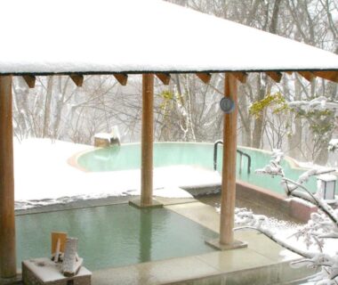 Snow-dusted trees framing roofed onsen baths at Hotel Shikisai, Kanto, Japan