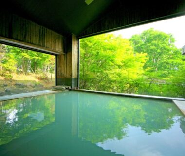 Relaxing indoor onsen bath with wooden surround and verdant garden view at Hotel Shikisai Tochigi