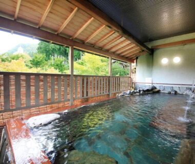 Covered wooden onsen with stone edging and open-sided view of greenery at Hotel Taikan in Iwate, Tōhoku, Japan