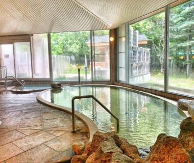 Indoor onsen bath with stone edging and large windows overlooking forest at Hotel Tetoraresort Tokachigawa