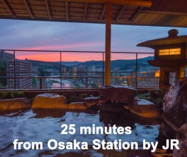 Stone open-air onsen with lantern and riverside view at Hotel Wakamizu in Hyōgo, Kansai