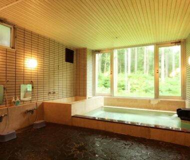 Tiled indoor onsen with wooden ceiling and large window, Hotel Wakatsuki, Nagano