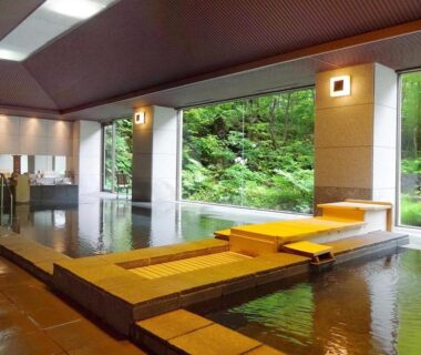 Indoor onsen bath with wooden walkway and large windows overlooking forest at Hotel Yunishigawa