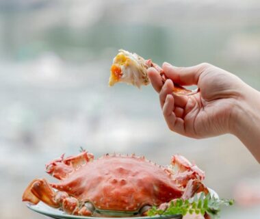 Hand holding crab piece over plate at Ichifukuso ryokan, Saga, Kyushu, Japan