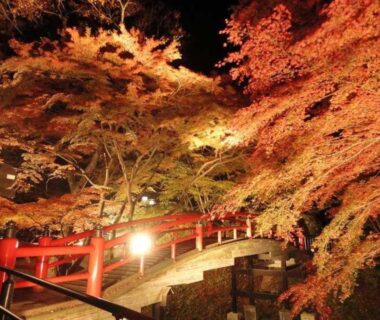 Night-lit stone steps and red railings beneath glowing maple foliage at Ikaho Syusuien, Gunma