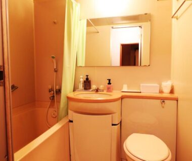 Compact bathroom with bathtub and handheld shower, sink, mirror, and toilet at Iris Yu, Iwate