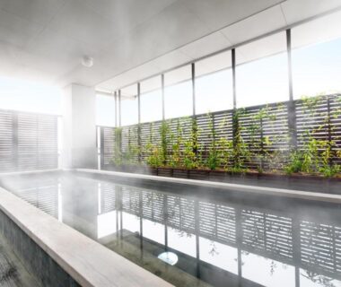 Indoor onsen with long rectangular bath and wooden slatted screen, Isegekusando Iseshinsen, Mie