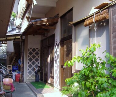 Narrow paved alley with wooden facades, shoji-style doors, potted greenery and straw-wrapped window coverings at Ishibu-so, Shizuoka
