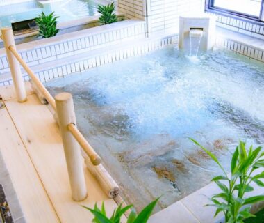 Bubbling indoor onsen with wooden handrail, tiled surround, potted plants and window light at Issinkan Tochigi