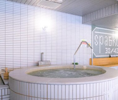 Indoor circular tiled onsen bath with handrail and wall tiles at Issinkan, Tochigi, Kantō