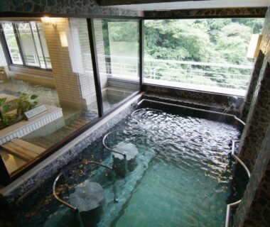 Indoor onsen bath with washing stools and large windows facing greenery at Issinkan, Tochigi