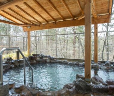 Covered stone-edged onsen bath with wooden roof and forest views at Itoen Hotel Kusatsu, Gunma