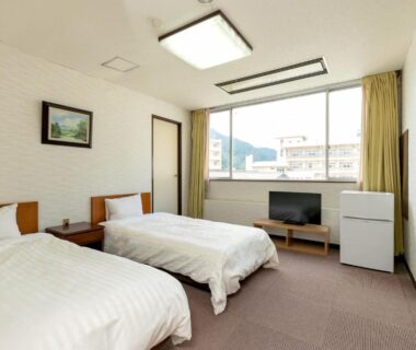 Twin room with two single beds, TV and window overlooking town and distant hills in Tochigi