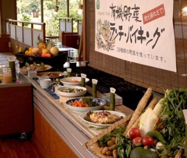 Buffet table with assorted dishes and fresh vegetables at Izu-Nagaoka Hotel Tenbo in Shizuoka, Chūbu, Japan