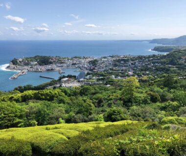 Hillside overlooking coastal town and harbor near Izu Shirada Villa in Shizuoka, Chūbu, Japan