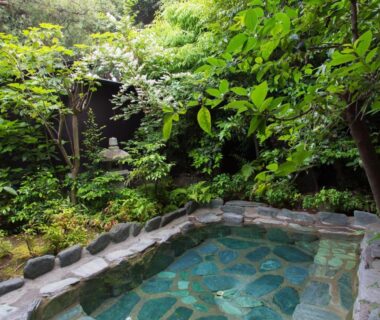 Stone outdoor onsen bath surrounded by lush garden foliage at Izuito Onsen Daitokan Shizuoka