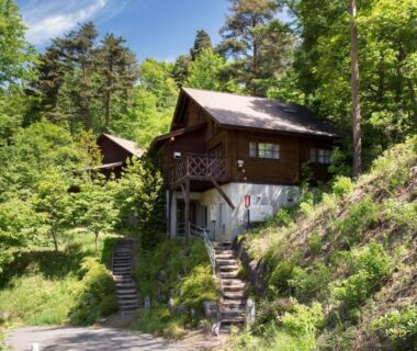 Exterior of wooden hillside cottages with balconies and stone steps surrounded by forest in Nagano