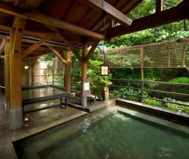 Covered wooden onsen bath with bamboo screen and garden view at Jizaiso in Tochigi, Kantō