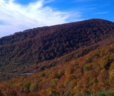 Rolling autumn slopes and valley near Juvankan in Nagano, Chūbu region