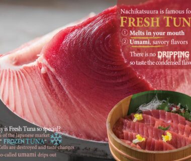 Fresh tuna loin and sliced tuna bowl at KAMENOI HOTEL Nachi Katsuura Wakayama