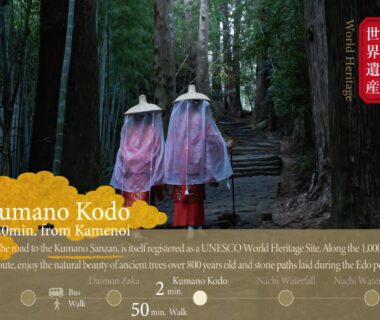 Two pilgrims walking stone steps through cedar forest on Kumano Kodo near KAMENOI HOTEL Nachi Katsuura Wakayama