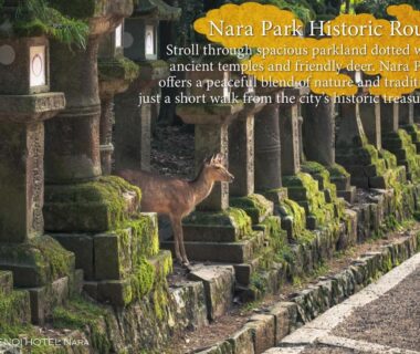 Deer among moss-covered stone lanterns near KAMENOI HOTEL Nara in Nara, Kansai