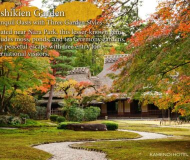 Traditional Japanese garden with moss, winding gravel paths and autumn foliage at KAMENOI HOTEL Nara, Kansai region