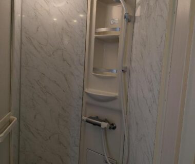 Compact shower stall with handheld showerhead and built-in shelves at Kagetsuen, Kanagawa