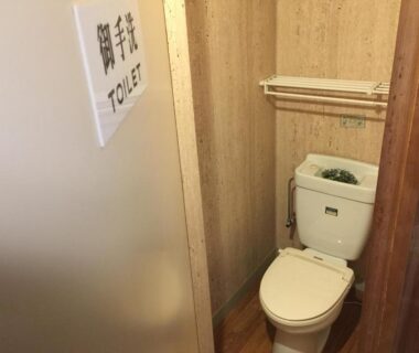 Compact wooden-walled toilet with grab bar, Kamesei Ryokan, Chūbu Nagano Japan