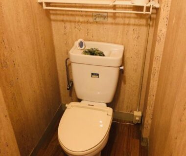 Compact toilet in narrow wooden stall with shelf, toilet paper and small plant at Kamesei Ryokan, Nagano, Chūbu