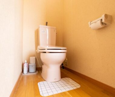 Compact bathroom with Western-style toilet and floor mat at Kaneki Hotel, Nagano, Chūbu