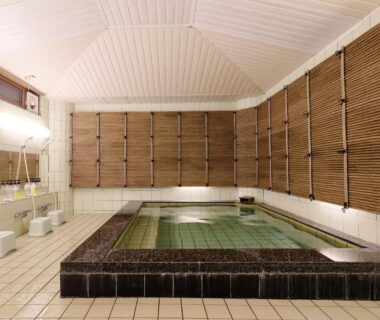 Indoor onsen bath with shower stations and bamboo blinds at Kanko Hotel Tamaru, Nara