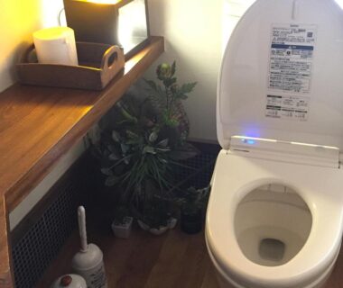 Compact restroom with bidet toilet seat, wooden shelf, tissue box and potted plant in Kannomori, Oita, Kyushu