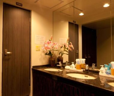 Mirror-lined washbasin counter with toiletries and flowers at Kimi Ryokan bathroom Tokyo Kantō Japan