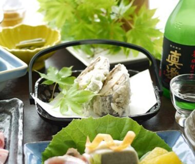 Assorted small plates with sake bottle on lacquered tray at Kimimachisou Nagano