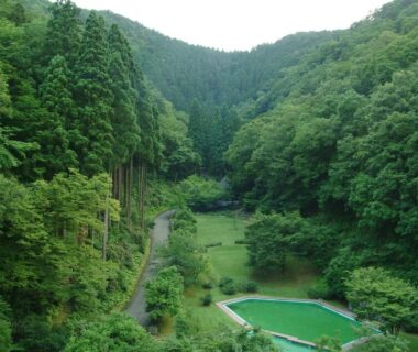 Forest valley with green outdoor pool near Nishimuraya Hotel Shogetsutei, Kinosaki Onsen, Hyōgo, Kansai Japan