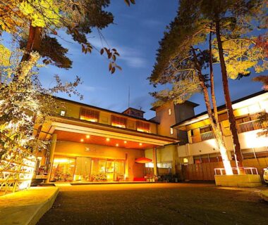 Nighttime illuminated ryokan entrance with trees and warm lighting at Kinugawa Onsen Hana no Yado Matsuya in Tochigi