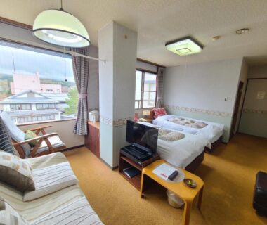 Bright twin room with sofa, TV, low table and large windows overlooking town in Niigata