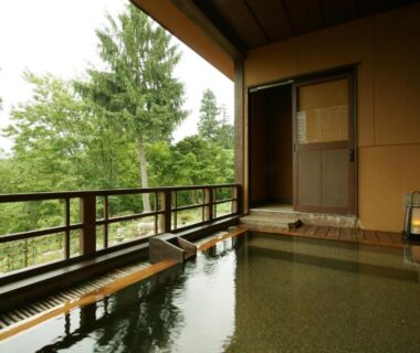 Wooden balcony onsen bath at Kofukan overlooking green forest in Niigata, Chūbu