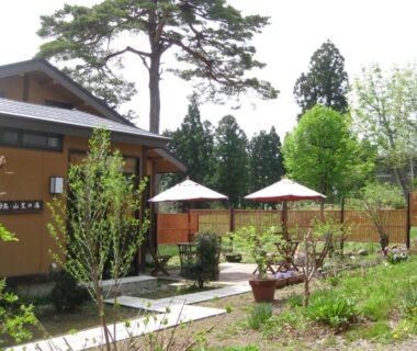 Stone path to wooden ryokan with parasols, potted plants and tall trees in a serene garden