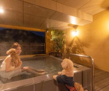 Two guests soaking in indoor onsen bath with warm lighting and handrail at Komatsuya Hachinobou, Shizuoka