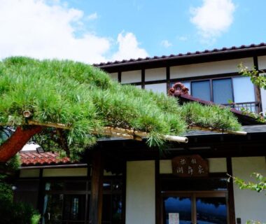 Exterior entrance with pine tree and tiled roof at Komaya Ryokan in Yamanashi, Chūbu