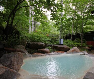 Stone outdoor onsen pool surrounded by trees at Konashi No Yu Sasaya Nagano