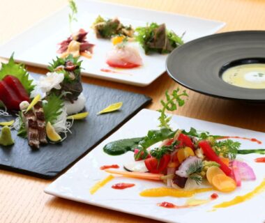 Assorted plated Japanese dishes including sashimi and garnishes at Kotsubokaigan Linca in Kanagawa