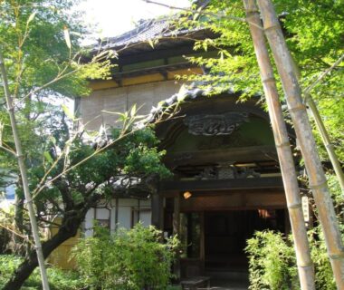 Traditional entrance framed by bamboo and greenery at Kurhaus Ishibashi Ryokan in Shizuoka, Chūbu, Japan